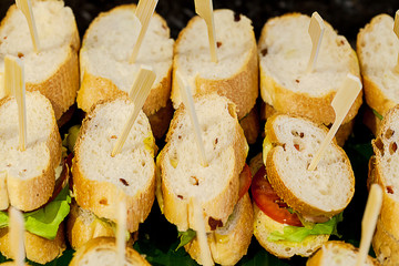 Many pieces of mini sanwich on white dish for buffet lunch. sanwich canape for cocktail dinner. image for background, copy space, objects, illustration and article. Snacks on tea time.