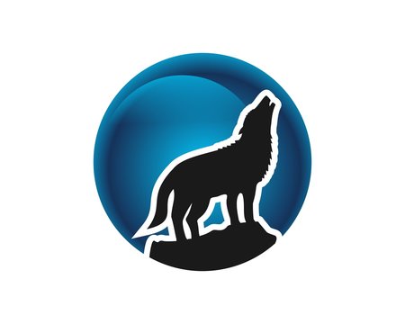 Night wolves