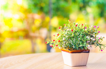 ceramic flowerpot on the wooden table in living room.