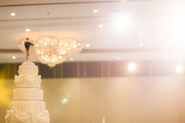 Figurines of the bride and groom on a wedding cake Corny wedding cake that symbolizes the commitment to love one another