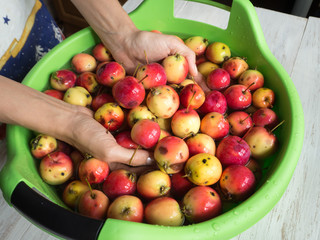 The woman's hands washed apples in the pelvis
