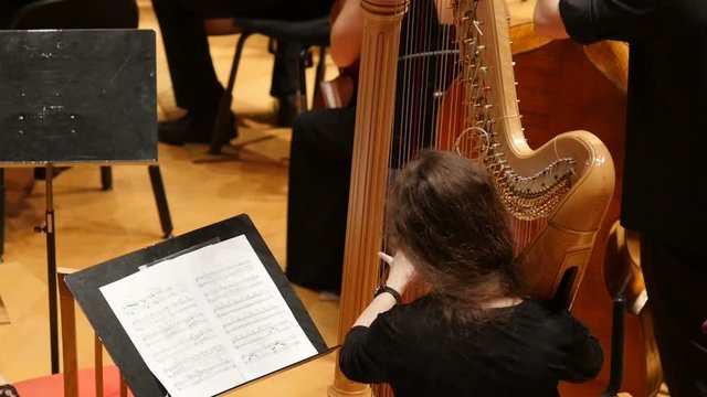 Rear view of young female musician playing the harp in symphony orchestra