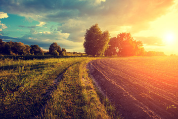 Naklejka premium Rural landscape in the evening at sunset. Dirt road along the arable field