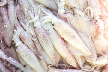 Obraz premium Fresh squid sell background in traditional seafood market