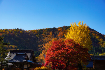 Country Autumn. 田舎の秋