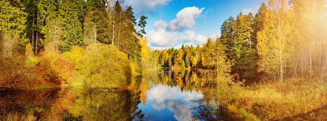 Bäume mit bunten Blättern am Ufer des Sees im Herbst. Kleiner Teich mit schöner Reflexion © candy1812