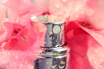 Close up of wet perfume bottle with shiny drops amongst fresh pink flower petals. Delicate aroma,...
