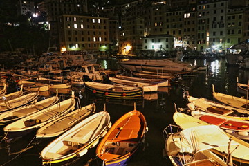 Porto di Camogli by night