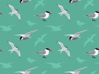 Fototapeta premium Bird Tern Wallpaper