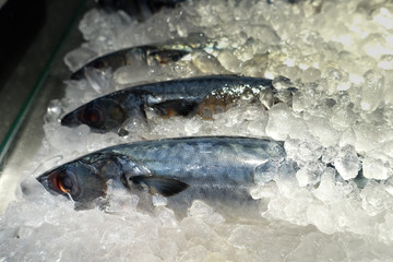 Fresh fish on ice in the market for cooking. New raw materials from sea Thailand. Good delicious...