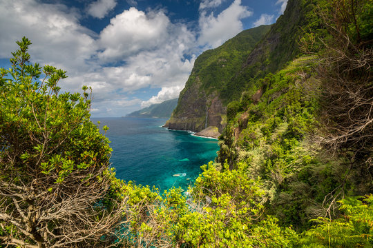 Coast of Madeira © martinwalser