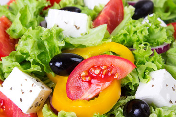 Fresh vegetable salad