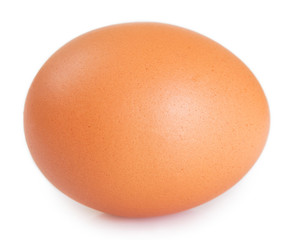 Raw egg on white background