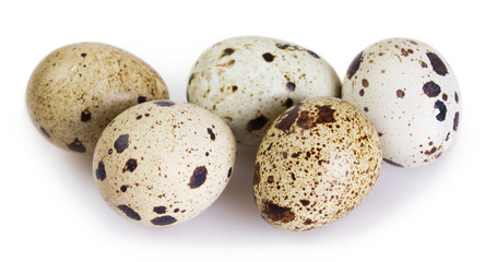 Fototapeta premium Quail eggs