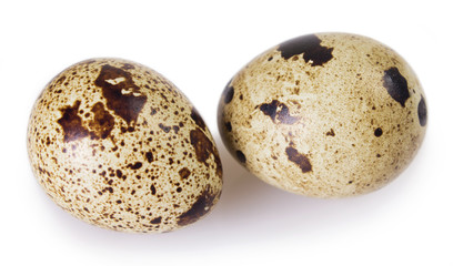 Quail eggs