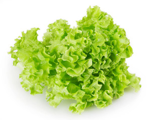 Fresh lettuce salad