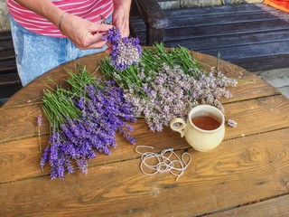 Hands of gardener woman create relaxing smell herbal bouquet.