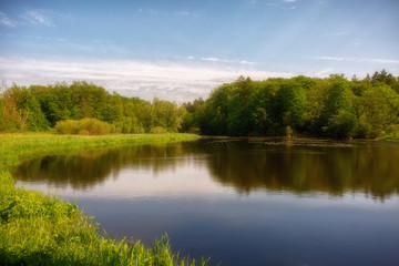 Fototapeta na wymiar See im Wald mit schöner Spiegelung