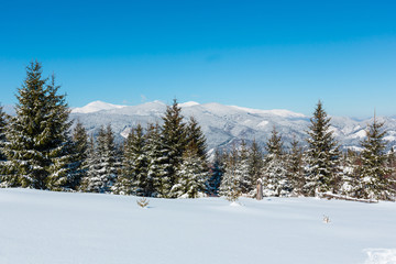 Winter snowy Carpathian mountains, Ukraine