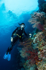 sea fan or gorgonian on the slope of a coral reef with visible water surface and fish and woman diver