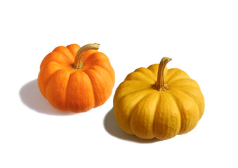 Pair of Vibrant Yellow and Orange Color Ripe Pumpkins with Stem Isolated on White Background