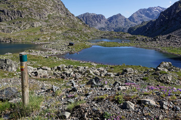 Chemin surplombant les Lacs Robert