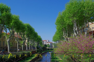 Obraz premium Allée d'arbres et rivière dans une ville du sud France