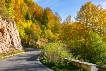 Obraz premium winding road through forested mountains. beautiful autumn weather on sunny afternoon.