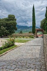 The yard and mountains at background