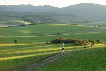 Fototapeta na wymiar Woman walking a dog on meadow. Slovakia