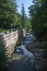 The mountain river in the park