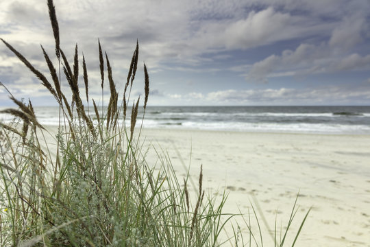 Fototapeta Morze Bałtyckie, widok z niebieskim bezchmurnym niebem