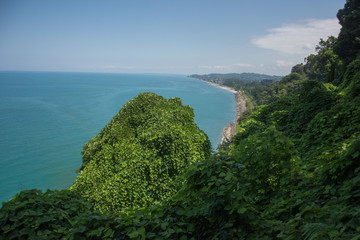 The sea and coast in green