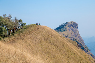 Fototapeta premium Golden Grass field and blue sky on top of mountain name 