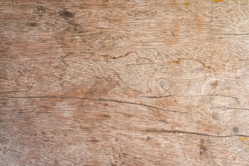 Obraz premium Texture of wood background