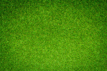 Green grass background
