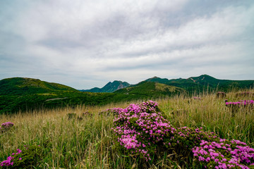 猟師岳　登山道