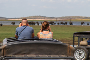 Personen mit Fernglas auf Safari, Elefanten