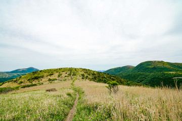 猟師岳　登山道