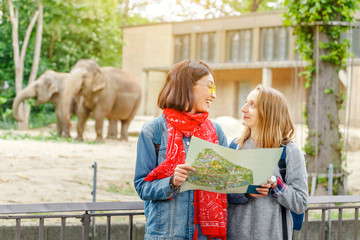 Naklejka premium Two girls friends students watching at elephant family feeding in the zoo while navigating by map