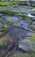 Natural cross line on Rock