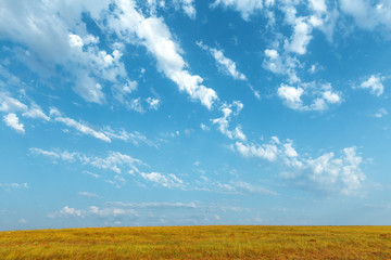 Fototapeta premium Blue sky and beautiful cloud. Plain landscape background