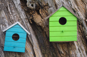 Lots of colorful wooden birdhouses on a tree body