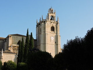 Fototapeta na wymiar Imponente surge en los cielos la catedral de San Antolín en Palencia