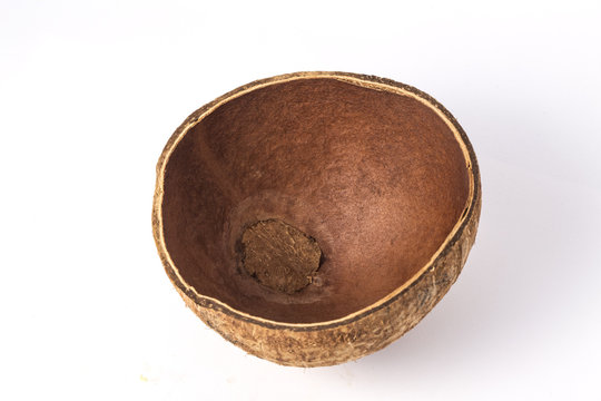coconut empty shell