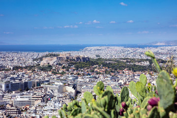 Panoramic aerial view of Acropolis in Athens Greece with blurry prickly pear cactus in the foreground, view from Lycabettus hill.