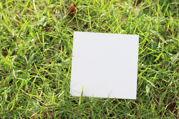 sheet paper on grass background