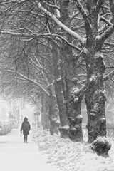 Lonely woman walking on snowy winter road among trees alley in cold winter day during snowfall