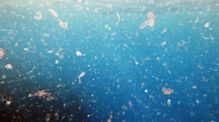 Detailed photography of sea water contaminated by micro plastic. Environment pollution concept. - obrazy, fototapety, plakaty