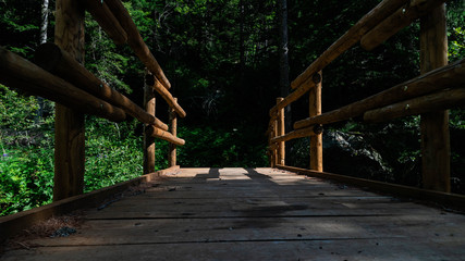 Bridge to the nature